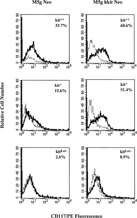 Fig. 10. Representative analysis of c-kit protein expression on CD34+++ kit++, kit+, and kitLo/− cells transduced withc-kit cDNA by flow cytometer. Sorted cells were prestimulated with 10% FCS and full dosage of IL-3, GM-CSF, IL-6, and Epo and transduced with c-kit cDNA (M5g hkit Neo) or mock (M5g Neo) control viruses as described in Materials and Methods. The cells were washed and incubated with the same cytokine combination for 48 hours and then stained with monoclonal CD117/PE (solid line) or mouse isotope control (dashed line) and analyzed by flow cytometer.