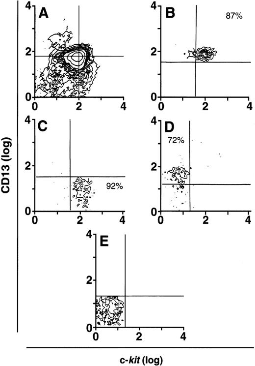 Fig. 2. CD34+ cells sorted into CD13+and CD13− progenitor cells. (A) Presorted CD34+ cells. CD34+/c-kit+/CD13+cells averaged 10% to 15%. (B) Postsorted CD34+/c-kit+/CD13+cells. (C) Postsorted CD34+/c-kit+/CD13−cells. (D) Postsorted CD34+/c-kit−/CD13+cells. (E) Postsorted CD34+/c-kit−/CD13−cells. Similar results were obtained in 6 experiments separately performed, using either BM (n = 3) or PB (n = 3) cells in which the percentage of cells in quadrants of interest did not significantly differ between BM and PB.