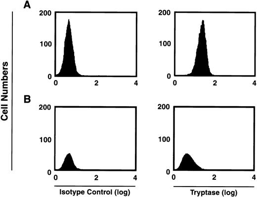Fig. 5. FACS analysis of intracytoplasmic tryptase expression by 2-week-old c-kit+/CD13+ (A) and c-kit+/CD13− (B) progeny. Right panels show tryptase expression. Isotype controls are shown in left panels. Results shown are representative of 4 experiments separately performed, using either BM (n = 2) or PB (n = 2) cells.
