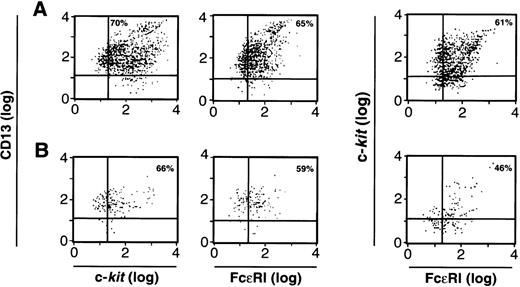 Fig. 6. FACS analysis of 2-week-old c-kit+/CD13+ (A) and c-kit+/CD13− (B) progeny for CD13, c-kit, and FcɛRI expression; or c-kit and FcɛRI expression on the cell population gated by FSC and SSC to identify mast cells. Results shown are representative of 4 experiments separately performed, using either BM (n = 2) or PB (n = 2) cells.