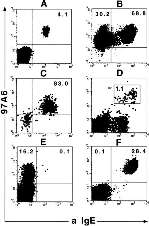 Fig. 2. Coexpression of 97A6 antigen and IgE on PB and BM cells. Ficoll-Hypaque PB or BM cells were stained with MoAb 97A6-PE and anti-IgE-FITC and analyzed on a FACSCalibur flow cytometer. (A) Expression on Ficoll-Hypaque PB cells gated on “lymphocytes” (low side scatter cells). (B) Expression on MACS-selected 97A6+ PB cells. (C) Expression on PB cells selected with the StemSep basophil kit. (D) Expression on Ficoll-Hypaque BM cells. The gate in this plot indicates the sort window for morphological analysis of cells shown in Fig 1D. Plot (E) shows the display of a selected PB sample from a patient with CML in accelerated phase and plot (F) from a patient with CML in chronic phase. Note that the 97A6+IgE− sample in E contains immature basophils (morphology shown in Fig 1C).