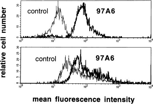 Fig. 3. 97A6 antigen expression on lung mast cells and PB basophils. To quantify the intensity of 97A6 antigen expression on basophils and mast cells, normal PB basophils (top) and lung mast cells (bottom) were analyzed by multicolor flow cytometry on a FACSCalibur. PB cells (source of basophils) were stained with MoAb 97A6 plus goat antimouse IgG-FITC, as well as with anti-CD123-PE and anti–HLA-DR-PerCP. The upper histogram results from cells gated on the CD123++HLA-DR− population. Lung mast cells were stained with MoAb 97A6 plus goat antimouse IgG-FITC and anti–c-kit-PE. The lower histogram results from cells gated on the c-kit+ population. Control histograms represent cells stained with IgG1 control antibodies instead of MoAb 97A6.