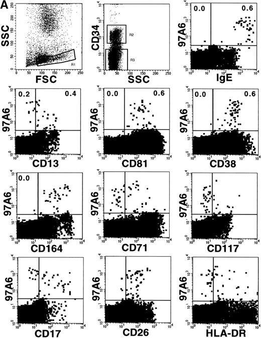 Fig. 7. Coexpression of 97A6 antigen and defined CD antigens on CD34+ and CD34− BM cells. BM cells were stained with anti-CD34-PerCP, 97A6-PE, and FITC-conjugated antibodies with the indicated specificities. When antibodies with specificities for CD81 (IgG2a), CD164 (IgG3), and CD17 (IgM) were used, the cells were labeled with the indicated antibodies and stained after washing with F(ab′)2 fragments of FITC-conjugated isotype-specific secondary reagents. Expression on CD34− cells (A) and CD34+cells (B) was analyzed after gating on the corresponding populations. 250,000 cells of each sample were analyzed on a FACSCalibur flow cytometer.