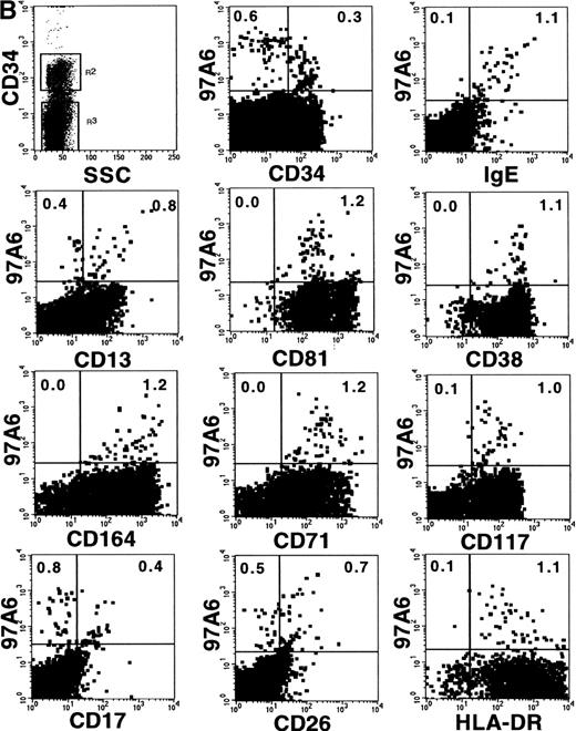 Fig. 7. Coexpression of 97A6 antigen and defined CD antigens on CD34+ and CD34− BM cells. BM cells were stained with anti-CD34-PerCP, 97A6-PE, and FITC-conjugated antibodies with the indicated specificities. When antibodies with specificities for CD81 (IgG2a), CD164 (IgG3), and CD17 (IgM) were used, the cells were labeled with the indicated antibodies and stained after washing with F(ab′)2 fragments of FITC-conjugated isotype-specific secondary reagents. Expression on CD34− cells (A) and CD34+cells (B) was analyzed after gating on the corresponding populations. 250,000 cells of each sample were analyzed on a FACSCalibur flow cytometer.