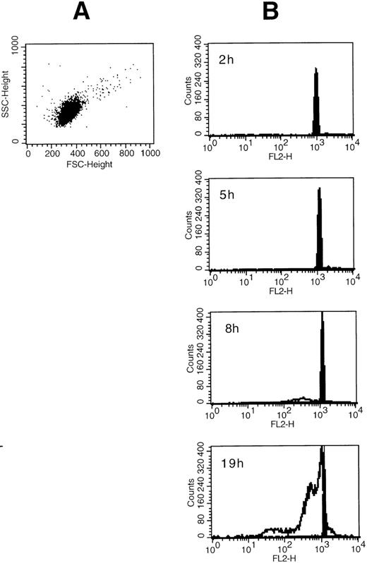 Fig. 3. (A) Side scatter and forward scatter characteristics of unstimulated eosinophils. (B) Time course for the SA-mediated eosinophil apoptosis. Eosinophils were incubated with medium control or 50 μmol/L SA for 2 to 19 hours as indicated. Original flow cytometric histograms demonstrating hypodiploid DNA peaks representing apoptotic eosinophil nuclei are demonstrated. SA-mediated apoptosis (unfilled graph) occurred after about 8 hours similar to Fas-mediated eosinophil apoptosis (not shown) when compared with spontaneous apoptosis (medium control, shown by the filled graph).