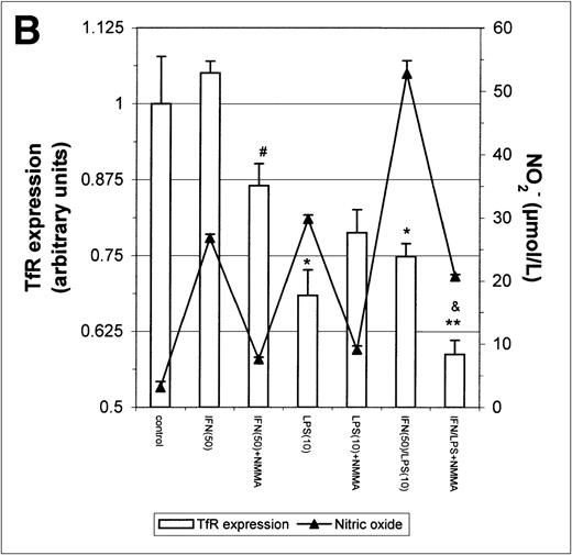 Fig. 5. Modulation of TfR expression by IFN-γ/LPS in J774 macrophages. Cells were stimulated for 16 hours (A) or 24 hours (B) with the indicated concentrations of IFN-γ (U/mL), LPS (ng/mL), and/or NMMA (500 μmol/L) and the expression of TfR determined by flow cytometry as described in the Methods. Nitrite production was assayed in the culture medium by the Griess reaction. Results shown are representative of 5 separate experiments. Values are given as the mean ± SE of triplicate cultures. Versus control: *P < .05, **P < .01; versus IFN: #P < .05; versus IFN/LPS: &P < .001.