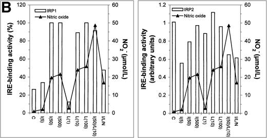 Fig. 6. Regulation of IRE-binding activity of IRPs by IFN-γ/LPS in J774 macrophages. (A) Cells were treated overnight in RPMI culture medium containing 10% FCS with 100 μmol/L DFO (D), 5 to 500 U/mL IFN-γ (I), 10 to 1,000 ng/mL LPS (L), and/or 500 μmol/L NMMA (N), or remained untreatred (control, C). Twenty micrograms of detergent cell extract was assayed for IRE-binding activity of IRP1 and IRP2 by gel-shift assay in the absence or presence of 2% 2-ME. Nitrite production was assayed in the culture medium by the Griess reaction. Results shown are representative of 4 separate experiments. (B) Autoradiographs were densitometrically scanned and the proportion of spontaneous IRP1 activity was expressed as a percentage of the value obtained after exposure to 2% 2-ME, which allows calculation of total IRE binding activity of IRP1. IRP2 activity was plotted in arbitrary units.