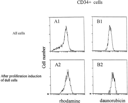 Fig. 4. Distribution of rhodamine (A and C) or daunorubicin (B and D) content in normal CD34+ cells or AML blasts after the rhodamine/daunorubicin efflux assay (1). The 25% most rhodamine/daunorubicin dull cells were sorted and triggered to proliferate by exposure to HGFs for 48 hours (2). After proliferation, induction cellular rhodamine/daunorubicin was higher compared with the sorted rhodamine/daunorubicin dull cells.