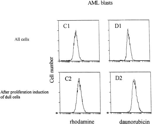 Fig. 4. Distribution of rhodamine (A and C) or daunorubicin (B and D) content in normal CD34+ cells or AML blasts after the rhodamine/daunorubicin efflux assay (1). The 25% most rhodamine/daunorubicin dull cells were sorted and triggered to proliferate by exposure to HGFs for 48 hours (2). After proliferation, induction cellular rhodamine/daunorubicin was higher compared with the sorted rhodamine/daunorubicin dull cells.
