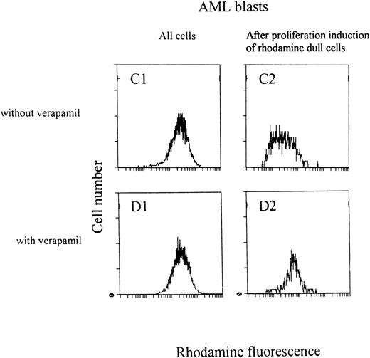 Fig. 6. Two examples of rhodamine content (A and C) in AML blasts after the rhodamine efflux assay with (2) or without (1) verapamil in the efflux medium. Efflux inhibition by verapamil caused a higher cellular rhodamine content predominantly in the RhoD cells. RhoD blasts were sorted and triggered to proliferate by exposure to HGFs for 48 hours. Effective proliferation induction resulted in an increase of cellular rhodamine content (A2 and C2). In these samples, only a subpopulation of the blasts became rhodamine bright after proliferation induction. Efflux modulation by verapamil was negligible in the rhodamine bright cells. The persisting rhodamine dull cells kept their sensitivity to efflux modulation by verapamil (B2 and D2).