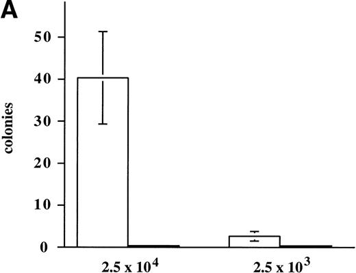 Fig. 5. Expression of constitutively active M-Ras G22V in an IL-3–dependent cell line results in factor-independent growth. (A) Polyclonal, puromycin-resistant R6-X M-Ras G22V cells (□) or parental R6-X cells (▪) were plated in agar in triplicate in the absence of IL-3 at 2.5 × 104 per mL or 2.5 × 103/mL (as indicated). Colonies were counted at day 7 using a colony-microscope. (B) Correlation of levels of expression of M-Ras G22V with factor-independent growth. Clones of R6-X M-Ras G22V cells derived from colonies grown in medium alone (M series; ⧫) or in the presence of IL-3 (F series; □) were expanded in IL-3, washed, and incubated in medium alone for days, when survival and growth were assessed by uptake of MTT as described above. The uptake of MTT (expressed as OD units) was plotted against the mean intensity of fluorescence (MFI) of EGFP assessed by flow cytometry of the same clones grown in the presence of IL-3. (C) Correlated expression of EGFP and M-Ras G22V. Twenty micrograms of whole-cell lysates of 4 of the clones shown in (B) above, 2 exhibiting high EGFP expression (M.4, MFI 1775, and M.6, MFI 2271) and 2 with low EGFP expression (F.1, MFI 216, and F.3, MFI 474), were immunoblotted using a monoclonal antibody specific for the HA-tag present on the M-Ras G22V. Also shown are lysates of parental R6-X cells and of a “sorted,” polyclonal population of M-Ras G22V-expressing R6-X cells, selected by fluorescence-activated cell sorting (FACS) and culture in IL-4 (sorted), and of a population of R6-X cells infected with empty vector (vector alone).