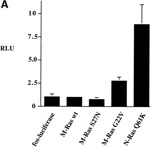Fig. 8. Activation of the c-fos promoter by M-Ras; evidence for sharing of effectors with p21 Ras. Shown are relative luciferase units derived from assays of lysates of 293-cells transiently transfected with 0.25 μg of the c-fos luciferase reporter plasmid and: (A) 3 μg of the indicated plasmids; (B) 0.25 μg of a N-Ras Q16K plasmid and the indicated amounts of M-Ras G22V plasmids. Results represent data from 6 (A) or 3 (B) independent experiments and are shown as mean ± SD. All transient transfections contained equal amounts of total plasmid DNA, normalized with empty vector containing the same promoter. The lower panel of (B) shows results of a cell-fractionation experiment. Lysates of N-terminally tagged M-Ras G22V or C-terminally tagged M-Ras G22V (CTm) were subjected to ultra-centrifugation. Samples of whole-cell lysate (wcl), the membrane-enriched fraction (m) and the cytosolic fraction (c) were separated on SDS-PAGE and immunoblotted with anti–myc-epitope antibody 9E10.