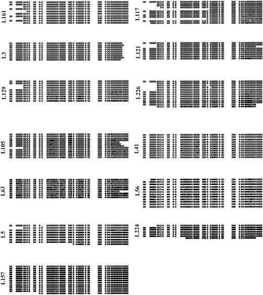Fig. 2. Methylation status for individual alleles of p15from 13 primary acute leukemias, depicted as in Fig 1. Primary acute leukemias show varying degrees of methylation density, as well as allelic heterogeneity of methylation. No site-specific methylation patterns were seen.