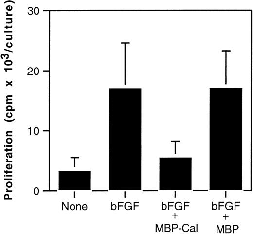 Fig. 3. Inhibition of endothelial cell proliferation by MBP-calreticulin. Fetal bovine heart endothelial cells (800 cells/well) were incubated for 5 days either in medium alone or medium supplemented with bFGF (25 ng/mL), with or without recombinant purified MBP-calreticulin or MBP (both at 1 μg/mL). The results of 16 experiments are expressed as mean cpm (±SD).