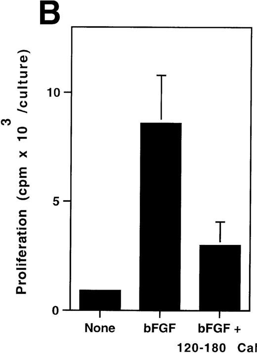 Fig. 6. (A) SDS-PAGE of recombinant purified proteins. 1: MBP 120-180 calreticulin fragment; 2: MBP. (B) Inhibition of endothelial cell proliferation by MBP 120-180 calreticulin fragment. Fetal bovine heart endothelial cells (800 cells/well) were incubated for 5 days either in medium alone or medium supplemented with bFGF (15 ng/mL), with or without recombinant purified MBP 120-180 calreticulin peptide (1 μg/mL). The results of 8 experiments are expressed as mean cpm (±SD).