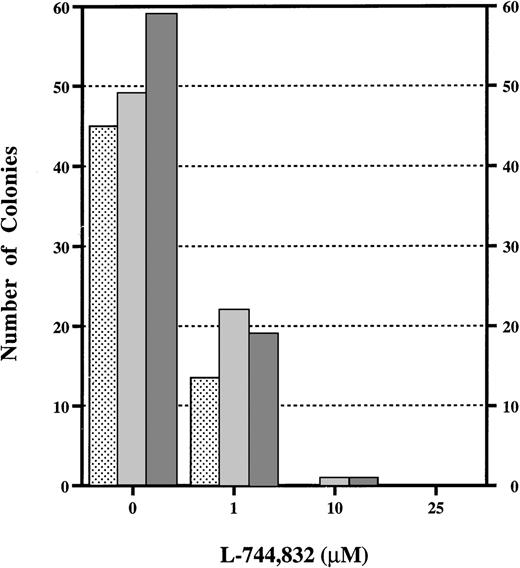 Fig. 3. L-744,832 inhibits CFU-GM colony growth from fetal liver cells. Fetal hematopoietic cells from Nf1+/+ (),Nf1+/− (), or Nf1−/− (▩) embryos were cultured in methylcellulose medium supplemented with 1 unit/mL of recombinant murine GM-CSF with either 0, 1, 10, or 25 μmol/L of L-744,832. CFU-GM colonies were counted after 7 days in culture.