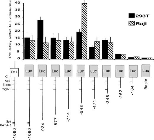 Fig. 3. Promoter activity of the 5′ region of the EphA3 gene and various deletion mutants. On the bottom is a schematic representation of the EphA3 gene 5′ region. The various genomic fragments were cloned as PCR products 5′ to the luciferase reporter. The numbering is relative to the transcription initiation site (0). Luciferase activities of each transfected construct were normalized to β-galactosidase activities. Each transfection was assayed at least 3 times and the mean values are shown on the graph (error bars indicate sample standard deviation).