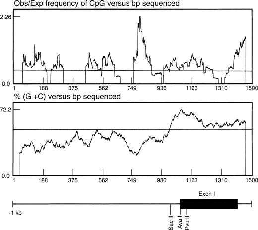 Fig. 5. Analysis of the distribution of CpG dinucleotides at the 5′ end of the EphA3 gene. The ratio observed/expected by chance (obs/exp) 5′-cytosine/guanine (CpG) was calculated as described by Gardiner-Garden and Frommer.25 A moving average value for percent G + C and for obs/exp CpG was calculated for each sequence using a 79-bp window moving across the sequence at 1-bp intervals. The CpG-rich regions were defined as stretches of DNA in which both the moving average of percent G + C was greater than 50 and the moving average of obs/exp CpG was greater than 0.47. Shown beneath the graph is the relative position of the EphA3 gene 5′ upstream region, first exon and part of the first intron. The positions of the enzyme restriction sites, SacII, AvaI, andPvuII, within the 1.4-kb genomic fragment are shown. These sites were used for Southern analysis of the DNA methylation state.