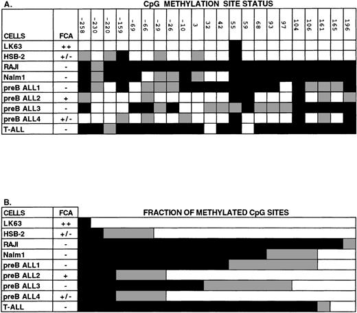 Fig. 7. Analysis of CpG methylation in human hematopoietic cell lines and in leukemic blood samples using sequencing of bisulfite-treated genomic DNA. The region of DNA analyzed with this technique was from the 5′ CpG-rich region of the Epha3 gene, which normally contains 22 individual CpG sites. (A) The methylation status of each CpG site. The positions of these 22 CpG sites are numbered relative to the TIS. (B) The proportion of CpG sites found methylated, unmethylated, or partially methylated. Methylated cytosines (black) remain unchanged with bisulfite treatment of genomic DNA, whereas unmethylated cytosines (white) are converted to uracil and then amplified as thymic. Some sequences showed both cytosine and thymine nucleotides present in the one position (gray), suggesting that these cytosines were partially methylated. EphA3 expression by FCA is shown as being either strongly positive (++), weakly positive (+/−), or negative (−). LK63, HSB-2, Raji, and Nalm-1 are all hematopoietic cell lines. Other samples were taken from patients with pre-B or T-ALL leukemias.