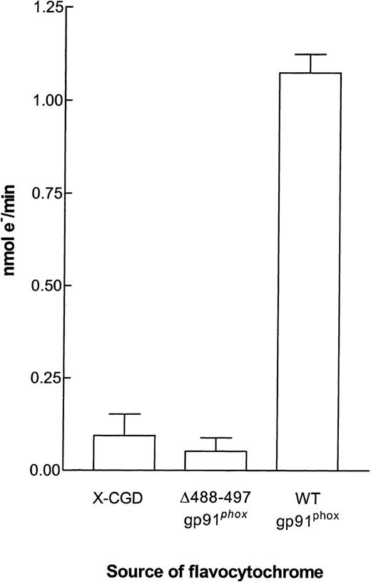 Fig. 5. INT reductase activity in flavocytochromeb558 purified from membranes of X-CGD, ▵488-497 gp91phox, and WT gp91phoxPLB-985 cells. INT reductase activity was determined in the 96-well microtiter plate assay as described in the Materials and Methods. Each well contained the equivalent of 0.5 pmol flavocytochromeb558 and 2.5 × 106 cell equivalents of neutrophil cytosol. The results are expressed as the mean ± SEM.