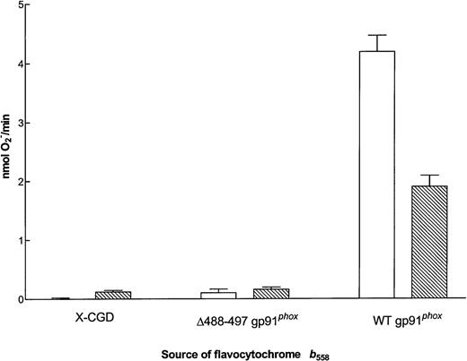 Fig. 6. O2− generating activity of flavocytochrome b558 purified from membranes of X-CGD, ▵488-497 gp91phox, and WT gp91phox PLB-985 cells. Cell-free O2− assays were performed as described in the Materials and Methods using the equivalent of 0.5 pmol flavocytochromeb558 per well and 2.5 × 106 cell equivalents of neutrophil cytosol. (□) The maximum rate of O2− production with 4.9 mmol/L NADPH as substrate (mean ± SEM); (▧) the maximum rate of O2− production with 4.8 mmol/L NADH as substrate.