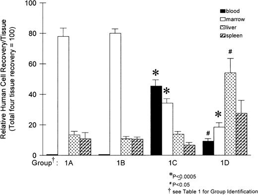 Fig. 1. Distribution of human (CD45+) cells in sheep hematopoietic tissues at 24 and 48 hours after transplantation. Values are expressed as the mean percentage of human cells in each tissue taken from 5 animals per group ± 1 standard error (SE), with the total number of human cells detected in the 4 tissues taken as 100%. Significance values are relative to group 1A (medium control). Values from group 1B (nonblocking anti–VLA-4 antibody) were not significantly different than group 1A.