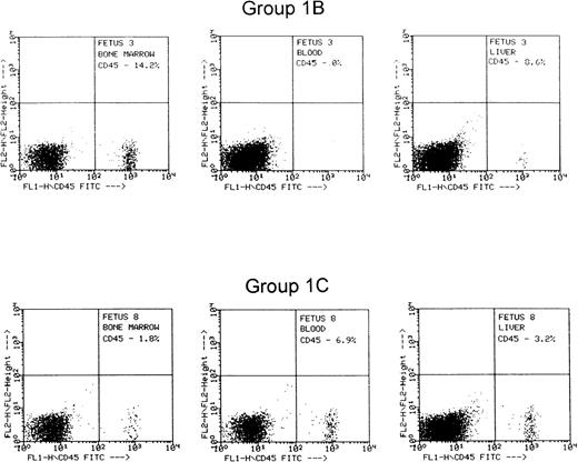 Fig. 2. FACS histogram from 2 representative fetuses from group 1B that received cells treated with control nonfunction blocking anti-CD49d, and group 1C that received cells treated with function-blocking anti-CD49d.