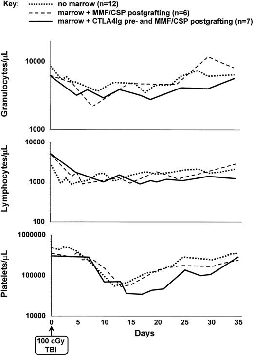 Fig. 3. Median peripheral blood platelet, granulocyte, and lymphocyte changes in dogs given either 100 cGy TBI and no marrow grafts (n = 12); 100 cGy TBI, marrow grafts, and postgrafting MMF/CSP (n = 6), or pretransplant PBMC plus CTLA4Ig, 100 cGy TBI, marrow grafts, and postgrafting MMF/CSP (n = 7).