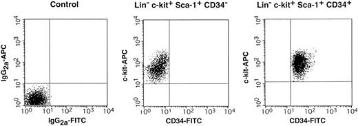 Fig. 2. Results of reanalysis of the cells of normal mice sorted according to R2 and R3 windows of Fig 1.