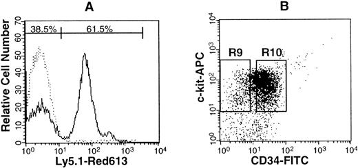 Fig. 8. Analysis of Lin− marrow cells from primary recipients transplanted with CD34+ cells. (A) Dotted and solid lines represent cells stained with isotype-matched Ig and Ly-5.1–specific antibody. Sixty-five percent of the Lin−marrow cells of the primary recipients were donor-derived (Ly-5.1) cells. (B) Sorting windows of Ly-5.1+ Lin−c-kit+ Sca-1+ cells. The ratio of the cells in R9 to R10 was 1:5.