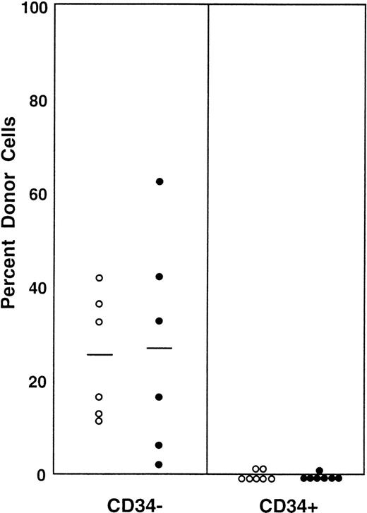 Fig. 9. Percentage of donor (Ly-5.1) cells in the blood of individual secondary recipients. Ly-5.1 Lin−c-kit+ Sca-1+ CD34+post–5-FU marrow cells were transplanted to Ly-5.2 primary recipients. Three months later, 1,000 Ly-5.1 CD34− bone marrow cells or 5,000 Ly-5.1 CD34+ bone marrow cells of the primary recipients were transplanted to individual secondary Ly-5.2 recipients. (○) 2 months posttransplantation; (•) 5 months posttransplantation.
