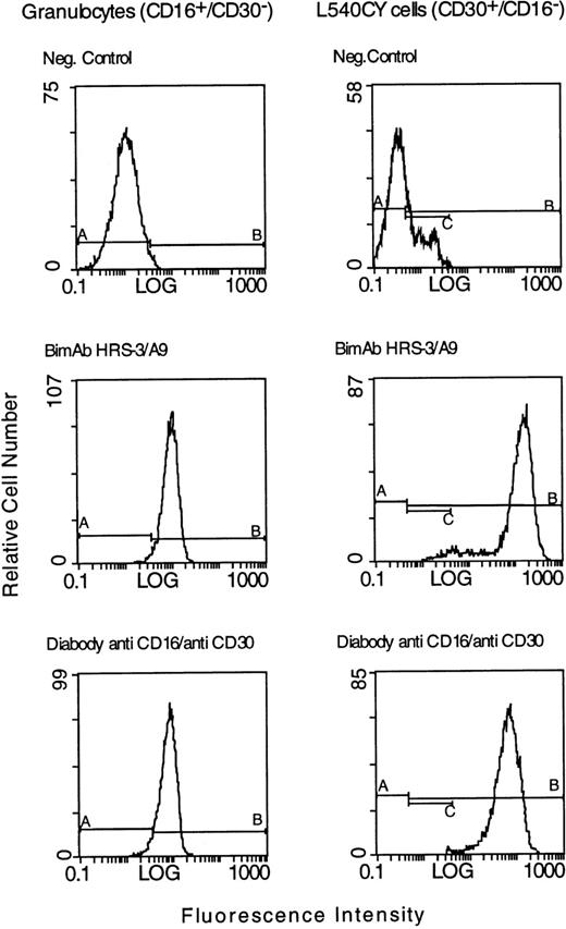 Fig. 3. FACS analysis of bispecific antibodies binding to the CD30+ L540CY Hodgkin cell line and to CD16+granulocytes. The tumor cells and the granulocytes were incubated with 20 μg of the parental biMoAb HRS-3/A9 or with 20 μg of the anti-CD16/anti-CD30 diabody. The binding of the anti-CD16/anti-CD30 diabody to L540CY cells and granulocytes was detected with the anti–c-myc immunotag antibody 9E10 and fluorescein-conjugated goat antimouse IgG. Bound BiMoAb HRS-3/A9 was detected with fluorescein-conjugated goat antimouse IgG. As a negative control, target cells were incubated with 9E10 and FITC-labeled goat antimouse IgG alone.