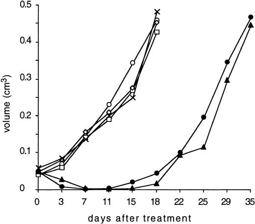 Fig. 5. Treatment of SCID mice bearing human Hodgkin’s lymphoma xenografts with bispecific antibodies. The mice were treated on day 0 by intravenous injection with 200 μL PBS (x); 1 × 107human peripheral blood lymphocytes (PBL) in 200 μL PBS (□); a mixture of 100 μg parental MoAb HRS-3 and A9 together with human PBL (◊); 100 μg purified anti-CD16/anti-CD30 diabody with human PBL (◍) or without human PBL (○); 100 μg purified biMoAb HRS-3/A9 together with human PBL (▴). Tumor diameters were recorded twice a week and tumor volume was calculated as follows: volume = d2 × D × π/6 with d as the smaller and D as the larger tumor diameter.