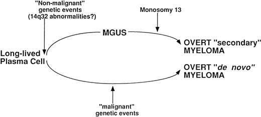 Fig. 3. A schematic representation of our multiple myeloma oncogenetic model.