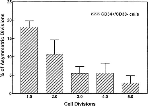 Fig. 4. Percentages of asymmetric divisions found after the first, second, third, and the fifth cell division. After the fifth cycle, it became difficult to discern symmetry of divisions. Forty-two percent and 25% of all asymmetric divisions occurred during the first and second mitosis, respectively.
