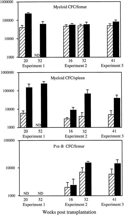 Fig. 2. Effects of HOXB4 overexpression on the number of myeloid and pre-B colony-forming cells after BMT. Results shown are the means ± SD of the numbers of in vitro myeloid colony-forming cells in bone marrow (top) and spleen (middle) and of IL-7–responsive B-lymphoid progenitor cells (pre-B CFC) in the bone marrow (bottom) of individual neo (▨) and HOXB4 (▪) mice at various time points after transplantation. The number of neo andHOXB4 mice analyzed at each time point are shown in Fig 1B. Consistent with their preferential derivation fromHOXB4-transduced cells, a major proportion of myeloid and pre-B lymphoid progenitor cells in HOXB4 mice were G418-resistant (HOXB4 mice, 59% ± 9% v neo mice, 37% ± 10% for all 3 experiments).