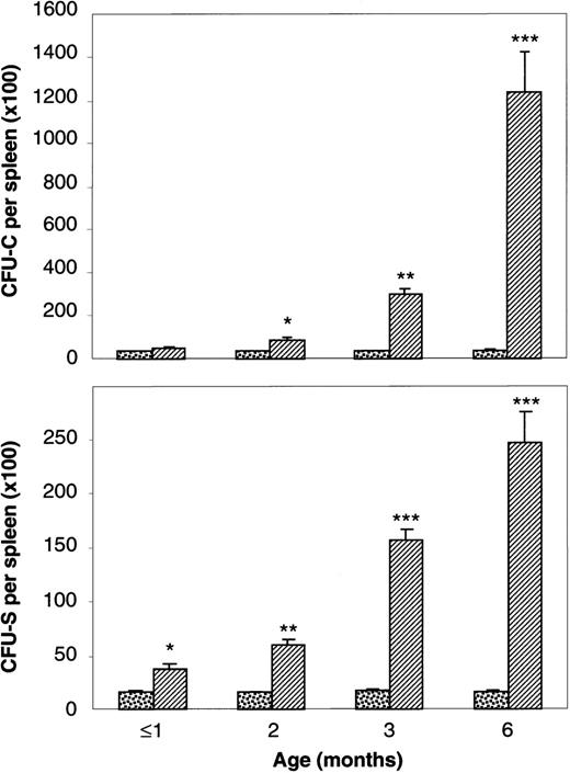 Fig. 1. Age-dependent changes in the number of CFU-S and CFU-C in spleens from C57BL/6-lpr/lpr mice (▨), as compared with C57BL/6 controls (▧). Data are means ± SEM established from 3 individuals of the same age. CFU-S and CFU-C were determined as described in Materials and Methods.