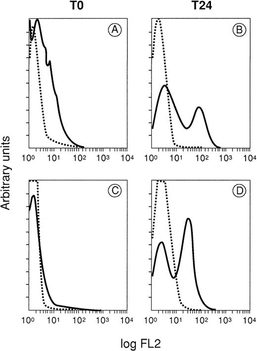 Fig. 4. IFNγ-induced Fas expression on lin−spleen and bone marrow cells. Flow cytometry analysis was performed on at least 20,000 events gated from the population without lineage markers. Splenocytes (A and B) and bone marrow cells (C and D) were stained directly or after 24 hours of incubation with 100 U/mL of mrIFNγ. The broken line represents control PE-conjugated hamster MoAb.