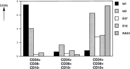 Fig. 2. Expression levels of HLH, bHLH, and RAG-1 mRNAs on CD34+ FL-sorted populations. RNA was isolated from FACS-sorted human FL subpopulations from 3 separate donor pools and analyzed by RT-PCR. mRNA levels were compared with HPRT expression and expressed in arbitrary units (HPRT = 1). One representative experiment from 1 donor pool is shown. All assays were performed 4 to 6 times. Similar data were obtained with analyses of 2 other donor pools.