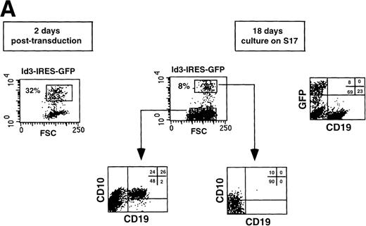 Fig. 4. Overexpression of Id3 inhibits differentiation of B cells from CD34+CD38−CD10− FL uncommitted precursors but does not affect development into monocytes. CD34+CD38−CD10− FL cells were sorted, incubated with retroviral supernatant harboring the Id3-IRES-GFP sequence, and subsequently cocultured with S17 stroma. After 18 days, the cells were harvested and expression of B-cell (A) and monocyte (B) antigens was analyzed by flow cytometry. Thirty-two percent of the cells were GFP+ 2 days after transduction. A representative experiment of 3 performed is shown.