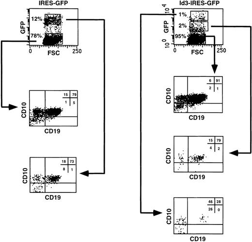 Fig. 7. B-cell differentiation of Id3-transduced FL progenitors is strongly blocked but not completely inhibited in a reaggregation culture with human stromal cells. CD34+CD38−CD10− FL cells were sorted, transduced with the IRES-GFP or Id3-IRES-GFP vectors, and reaggregated with the SV19 human stromal cell line for 2 to 3 weeks. After the culture period, cells were harvested, stained with the indicated antibodies, and analyzed by flow cytometry. Quadrant limits defining positive and negative cells were set up using cells stained with isotype-matched control antibodies. Thirty percent and 28% of the cells were GFP+ 2 days after transduction in control- and Id3-transduced samples, respectively. The results shown are representative of 2 similar experiments.