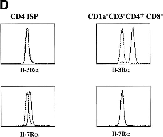 Fig. 2. Morphology and phenotype of thymic DC precursors freshly isolated and after in vitro stimulation with IL-3. For confocal laser scanning microscope analysis, CD1a−CD3−CD4+CD8−thymocytes were sorted and either directly cytocentrifuge preparations were made or cells were cultured for 5 days in the presence of IL-3, resuspended and layered on precoated glass slides. Both fresh and cultured cells were stained for HLA-DR. For FACS analysis, CD1a−CD3−CD4+CD8−thymocytes were cultured for 5 days in the presence of IL-3 and CD40L+ mouse fibroblasts. (A) Freshly isolated DC precursors show a rounded morphology and weak staining for HLA-DR. (B) Activated DCs upon culture in IL-3 acquire a dendritic morphology and more intense staining for HLA-DR (bar, 5 μm). (C) IL-3– and CD40L-activated DCs display a phenotype specific for mature DC. (D) The expression of IL-3R and IL-7R on thymic DC precursors compared with CD4 ISP pre-T cells. Solid lines represent staining with specific antibodies as compared with staining with isotype-matched controls indicated with dotted lines.