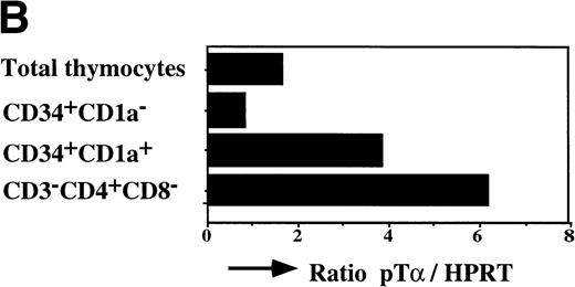 Fig. 7. Expression levels pre-T mRNAs in subsets of thymic precursors. Total RNA was isolated from sorted CD34+CD1a−, CD34+CD1a+, and CD4 ISP human thymic subpopulations (> 99% pure upon reanalysis) and analyzed for the levels of pT mRNA expression by semiquantitative RT-PCR as described in Materials and Methods (A). mRNA levels were compared with HPRT expression and calculated in arbitrary units. Standard curves were established by simultaneous amplification of 2-fold dilutions of cDNA prepared from RNA isolated from total thymus. PCR product of standard curves and samples were dot-blotted in duplicate onto nylon filters and hybridized with end-labeled oligo nucleotides shown on the right-hand site of the figure. (B) Measurement of the cpm/dot values was performed with a phosphoimager. Standard curves were calculated in which the first point of the curve, containing the highest amount of cDNA, was set arbitrarily to 1,000 U. Values of the samples were calculated in units. The ratios of (pT)/(HPRT) were determined and visualized in the bar graph.