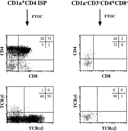 Fig. 8. CD1a−CD3−CD4+CD8−thymocytes do not contain T-cell precursors. The ability of CD1a−CD3−CD4+CD8−thymocytes to give rise to T cells was tested in a human/mouse FTOC. As a comparison, the developmental capacity of CD1a+CD4+ ISP thymocytes was examined.