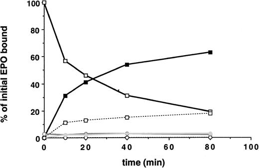 Fig. 2. 32D cells containing the EPO-R reconstitute EPO internalization and receptor downregulation. 125I-EPO internalization studies. Solid symbols represent the percentage of total bound counts at time 0 that were internalized. Open symbols represent the percentage of total bound counts at time 0 that remained surface bound. Open symbols and a broken line represent the percentage of total bound counts at time 0 that were released into the medium. Standard deviations for each point were within 10% of the value plotted and are not shown. At each time point, the summation of internalized EPO, surface-bound EPO, and counts in the medium equaled the amount of 125I-EPO bound at time 0. Internalization studies were performed on 3 different clones and were performed 2 times for each clone. Data presented are from a single representative clone of each. 32D.Wild-type EPO-R(1-483) cells, squares; 32D.Neo cells (no EPO-R), circles.