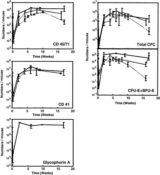 Fig. 1. Kinetics of appearance of different types of human hematopoietic cells in NOD/SCID mice transplanted with 107low-density human fetal liver cells. Values shown represent the numbers calculated to be present in each entire mouse, assuming 2 femurs and 2 tibias comprise 25% of this value.60 Results from 2 independent experiments have been pooled (2 to 6 mice per time point). Previously published data for grafts of 107 light-density human cord blood cells (dashed line)42 or 2 × 107 light-density human adult marrow cells (dotted line)48 are shown for comparison.