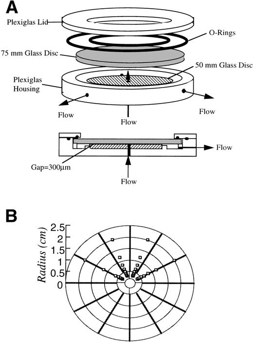 Fig. 1. (A) Schematic diagram of the radial flow chamber. The chamber was made of a Plexiglas housing with 2 optically flat glass discs, one 75 mm and the other 50 mm in diameter. The 50-mm glass disc was permanently cemented to the housing and bored with a 0.125-inch diameter inlet port through its center. The fluid flows in through the center of the cemented disc and flows out radially between 2 discs with a gap of 300 μm. (B) Schematic diagram of the scanned fields during experiments. A region containing 8 fields by 4 fields of the disc was scanned at increments proportional to the shear rate.