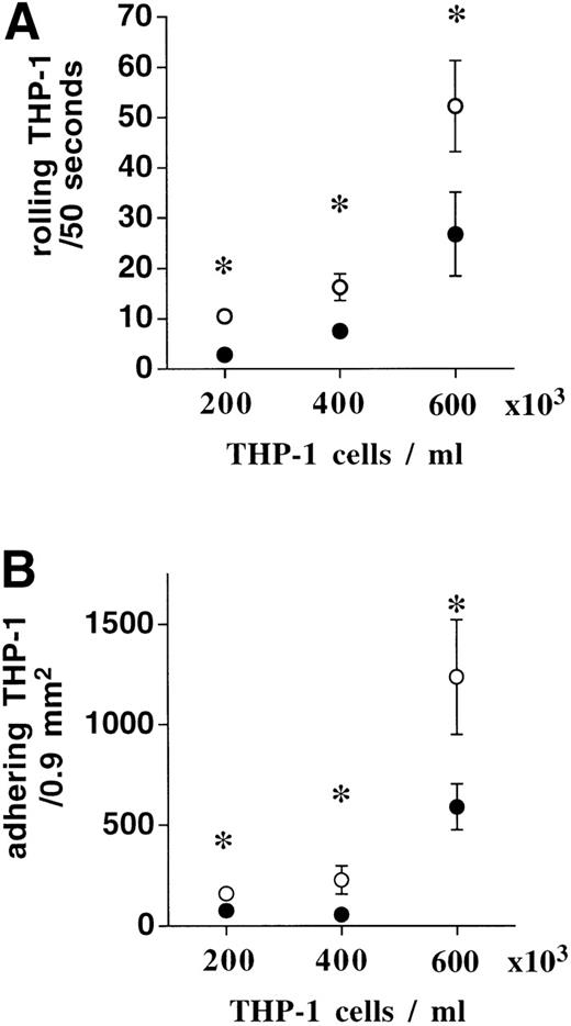 Fig. 3. When THP-1 cell numbers were stepwise increased from 2 × 105 to 4 × 105 and 6 × 105, basal rolling and adhesion increased progressively (•). The addition of 3:1 activated platelets (○) further augmented THP-1 cell rolling (A) and adhesion (B) irrespective of absolute THP-1 cell number (n = 4, * P < .01).