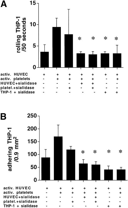 Fig. 8. HUVEC and THP-1 treatment with sialidase abolished the platelet-mediated (ratio 3:1) augmentation of rolling and subsequent adhesion of THP-1 cells at 400 s−1. Sialidase treatment of platelets had no effect. Combined sialidase digestion of HUVEC and platelets did not further reduce THP-1/endothelial cell interaction in the presence of activated platelets (n = 4, *P < .05).