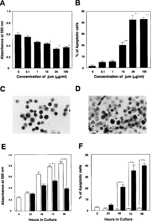 Fig. 2. Inhibition of cell growth and induction of apoptosis in K562 cells by human β2m. (A) The proliferation of K562 cells (1 × 105 cells/mL) was suppressed in the presence of more than 10 μg/mL of β2m for 48 hours, and (B) apoptosis was induced. (C and D) The percentage of apoptotic cells was determined microscopically by counting 200 cells on in situ-stained slides. (C) Control K562 cells cultured without β2m or (D) with 10 μg/mL of β2m at 37°C for 48 hours. Apoptotic cells were detected using in situ staining with Apop Tag PLUS (Oncor), which gives a dark contrast to the insoluble precipitate, indicative of genomic fragmentation, as described. Arrows indicate apoptotic cells (original magnification × 200). (E) The proliferation of K562 cells was suppressed, and after more than 48 hours of incubation with 10 μg/mL of β2m apoptosis was induced (F). Results are expressed as the mean ± SE of 3 independent experiments. Standard deviations are shown by horizontal bars.P values of less than .05 are shown as (*) and less than .01 as (**).